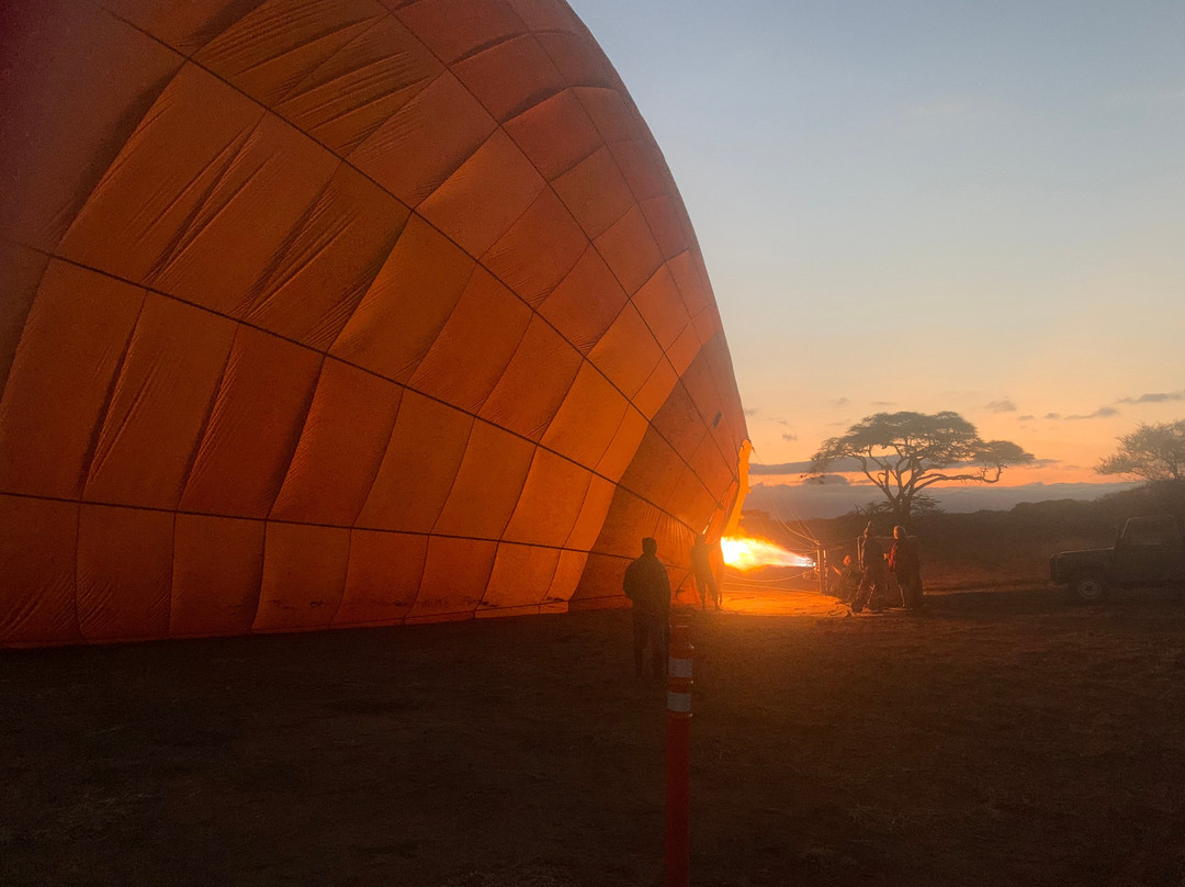 Kilimanjaro Balloon Safaris景点图片