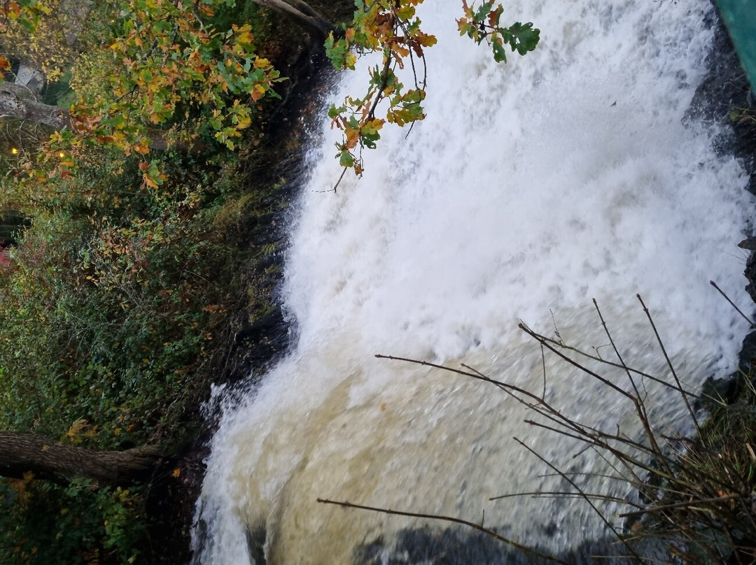 Les Cascades de Coo景点图片