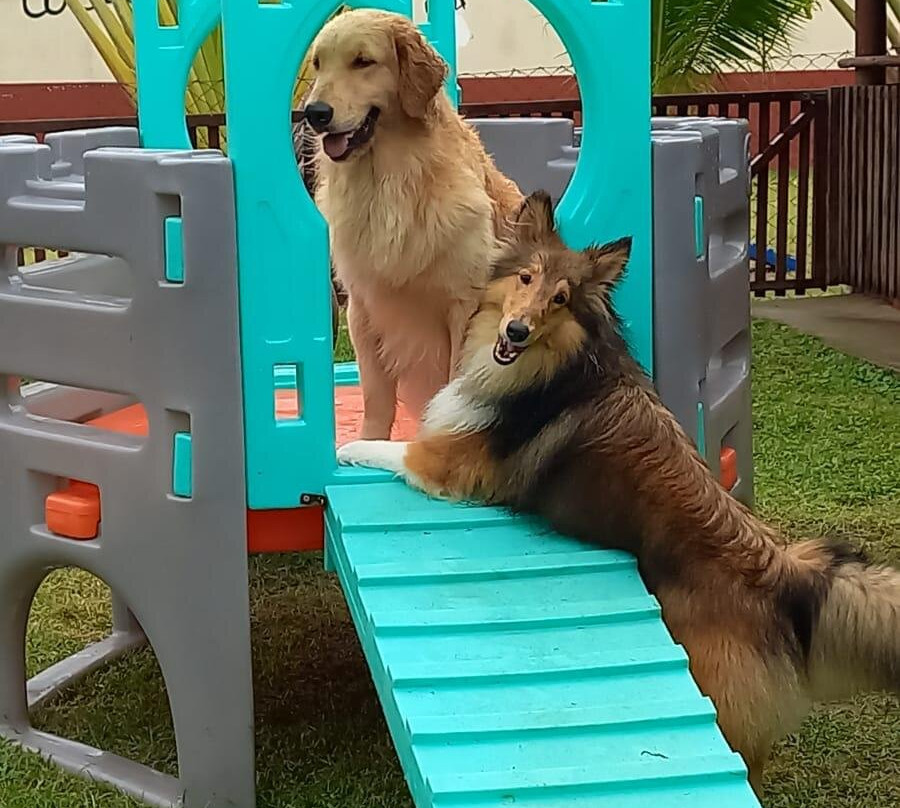 Pousada Italia Beach主图