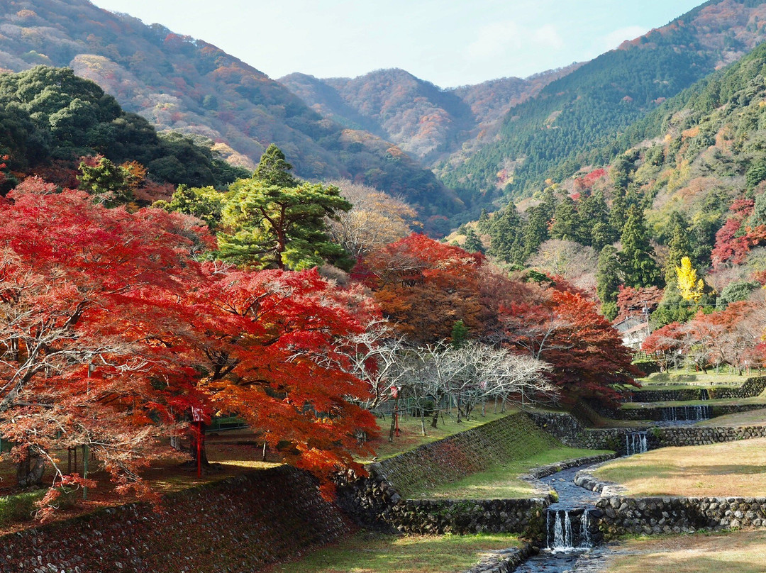 Yoro Park-养老町必去景点