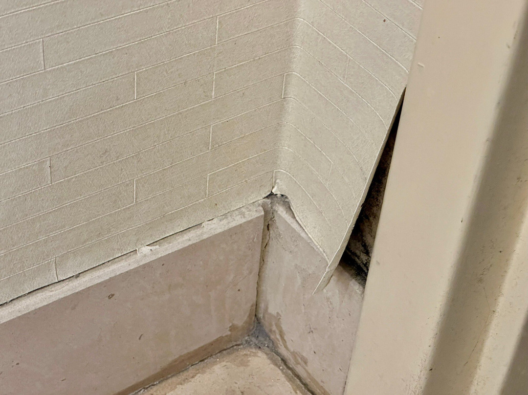 The Mansion on Delaware Avenue主图