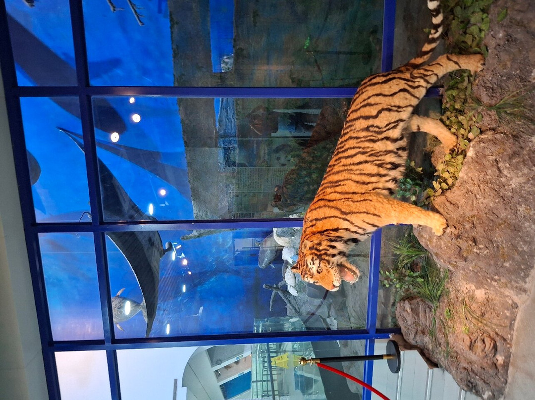 Yantai Museum-烟台市必去景点