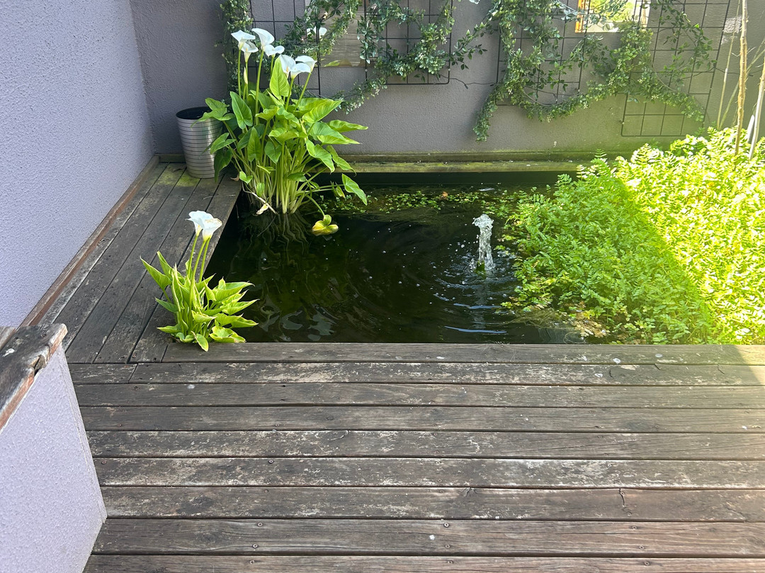 Sylvan Rise Retreats-Gordon必去景点