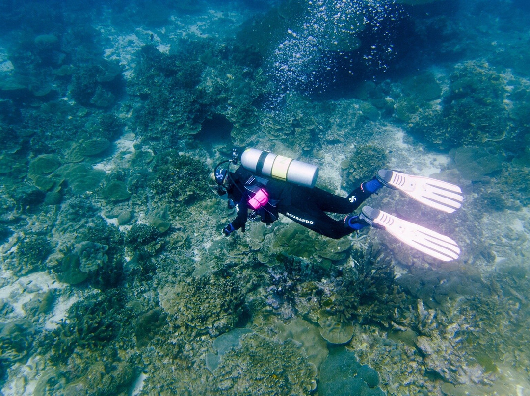 Big Blue Diving Khao Lak-拉克山必去景点