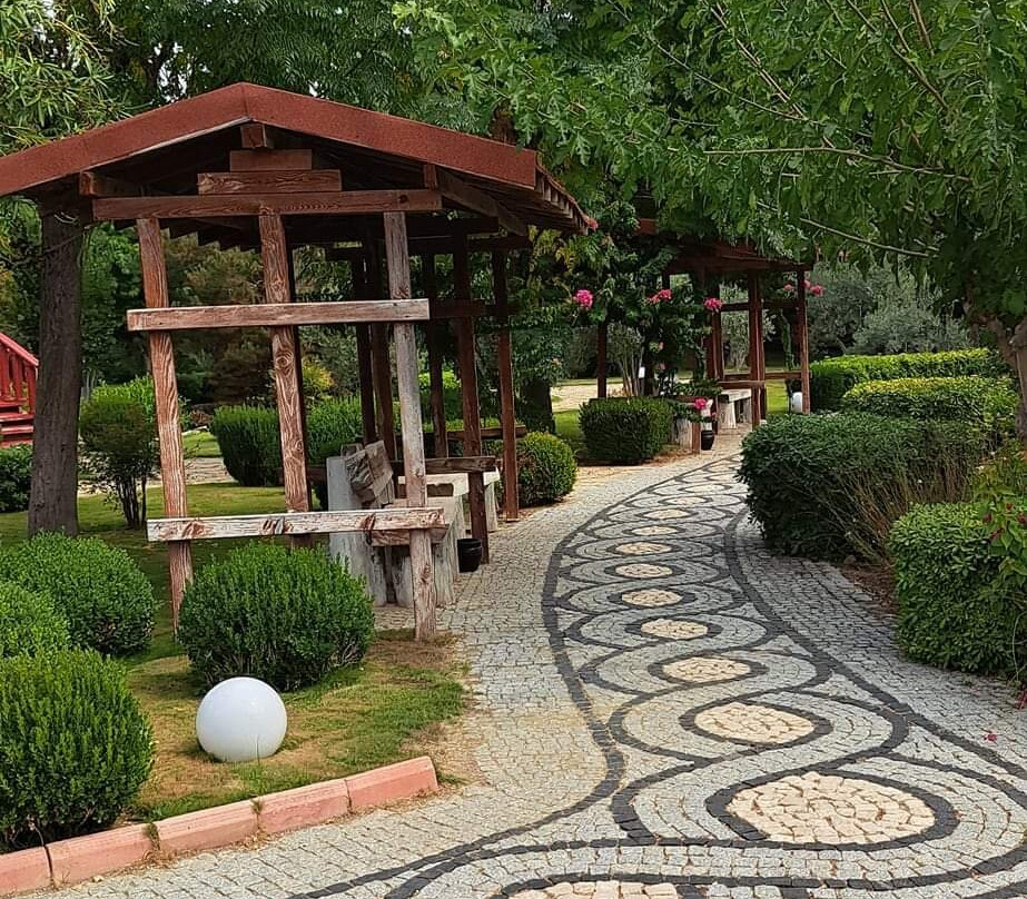Zen Gardens景点图片