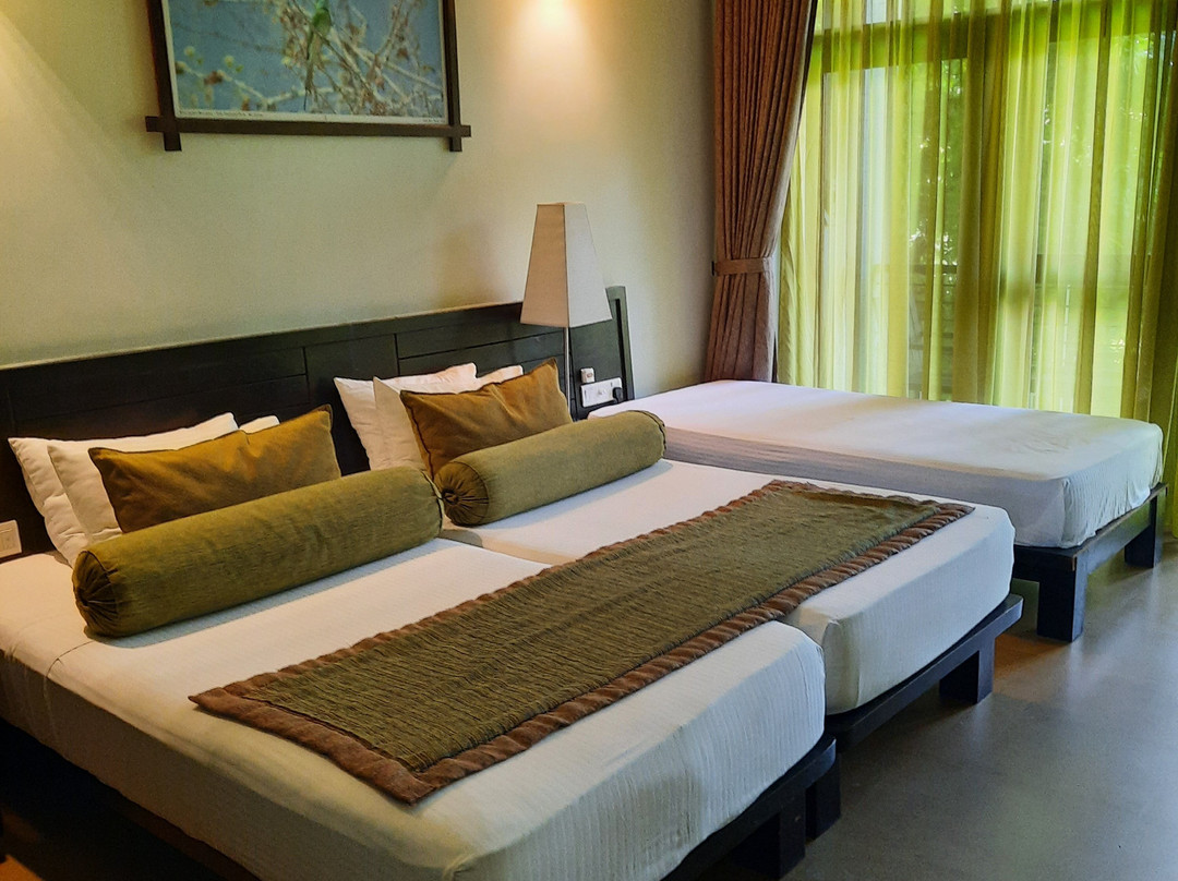 Oak Ray Wild Yala主图