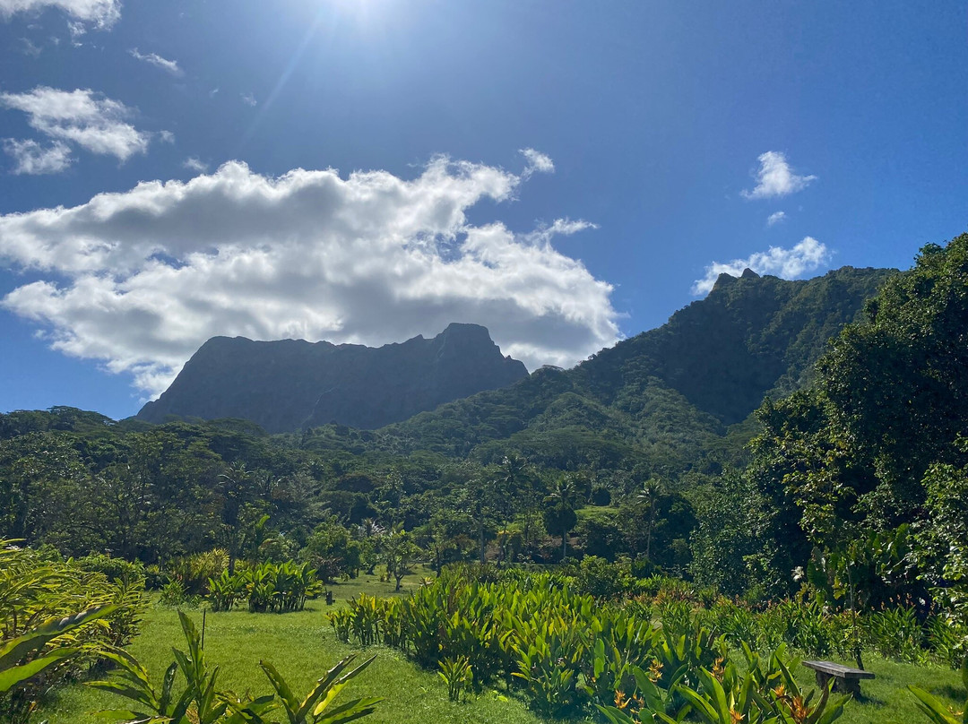 De Raiatea Botanical Garden-Taputapuapea必去景点