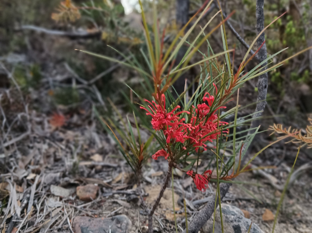 Grampians Peaks Trail-贺思盖必去景点