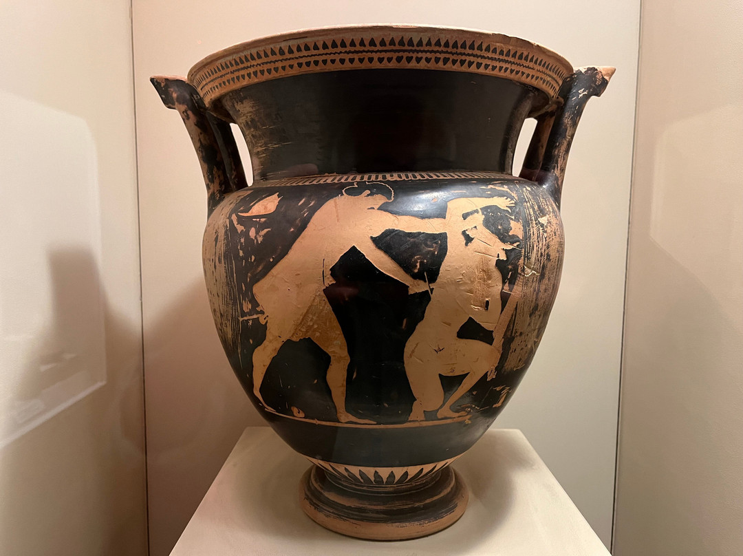 Museo Nazionale di Villa Guinigi景点图片