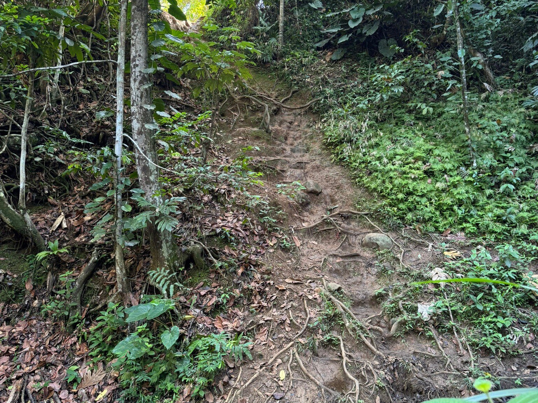 La Cascade de Bis-Sainte Rose必去景点