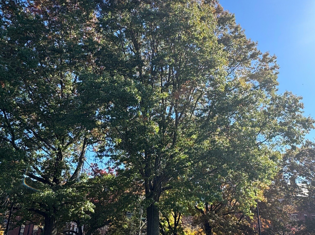 安杜佛北劳伦斯智选假日酒店主图