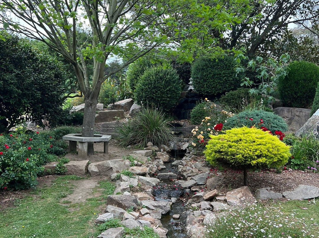 Ashcombe Maze & Lavender Garden景点图片