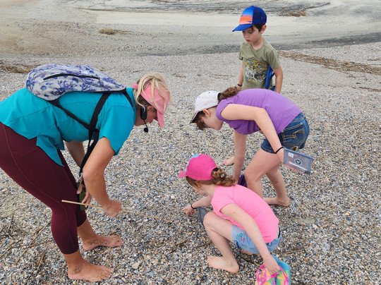 Tybee Shark Teeth Tours-泰碧岛必去景点