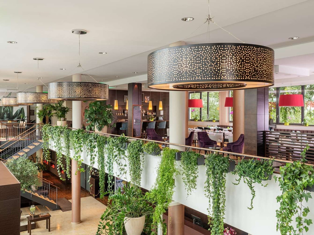 新罕布什尔斯图加特机场店主图