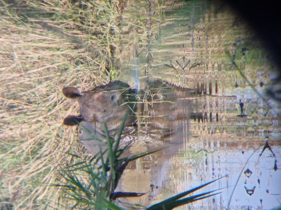The Jungle Book Safari & Tours,  Chitwan National Park景点图片