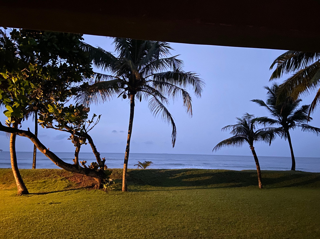 树的弗兰吉帕尼酒店主图