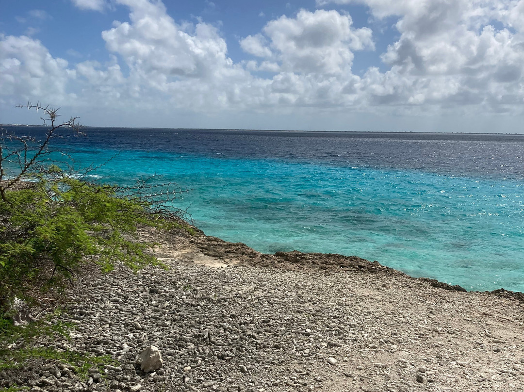 Gotomeer-博奈尔岛必去景点