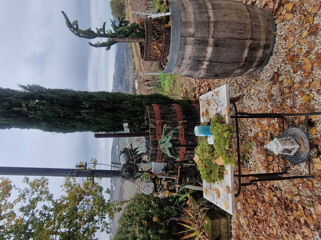 Campoletizia Azienda Agrituristica主图
