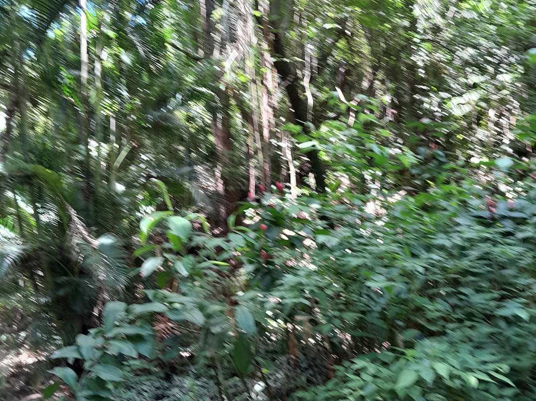 Parque da Biquinha-索罗卡巴必去景点