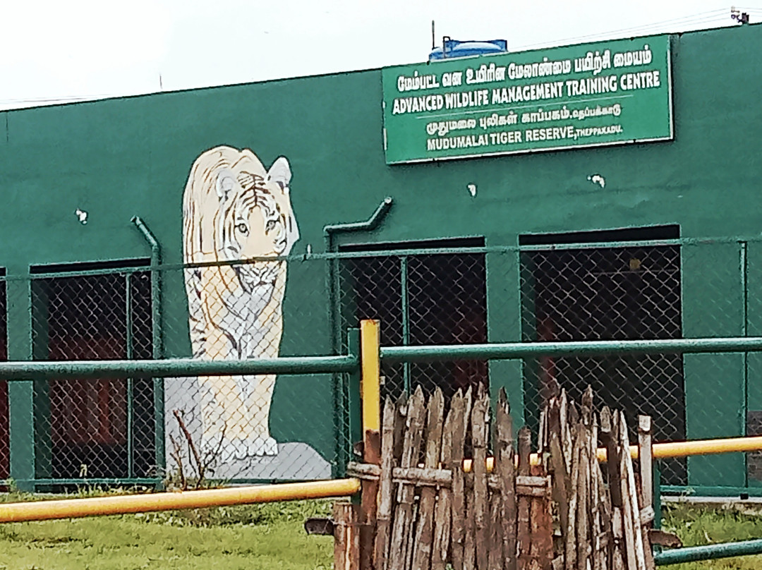 Theppakadu Elephant Camp景点图片