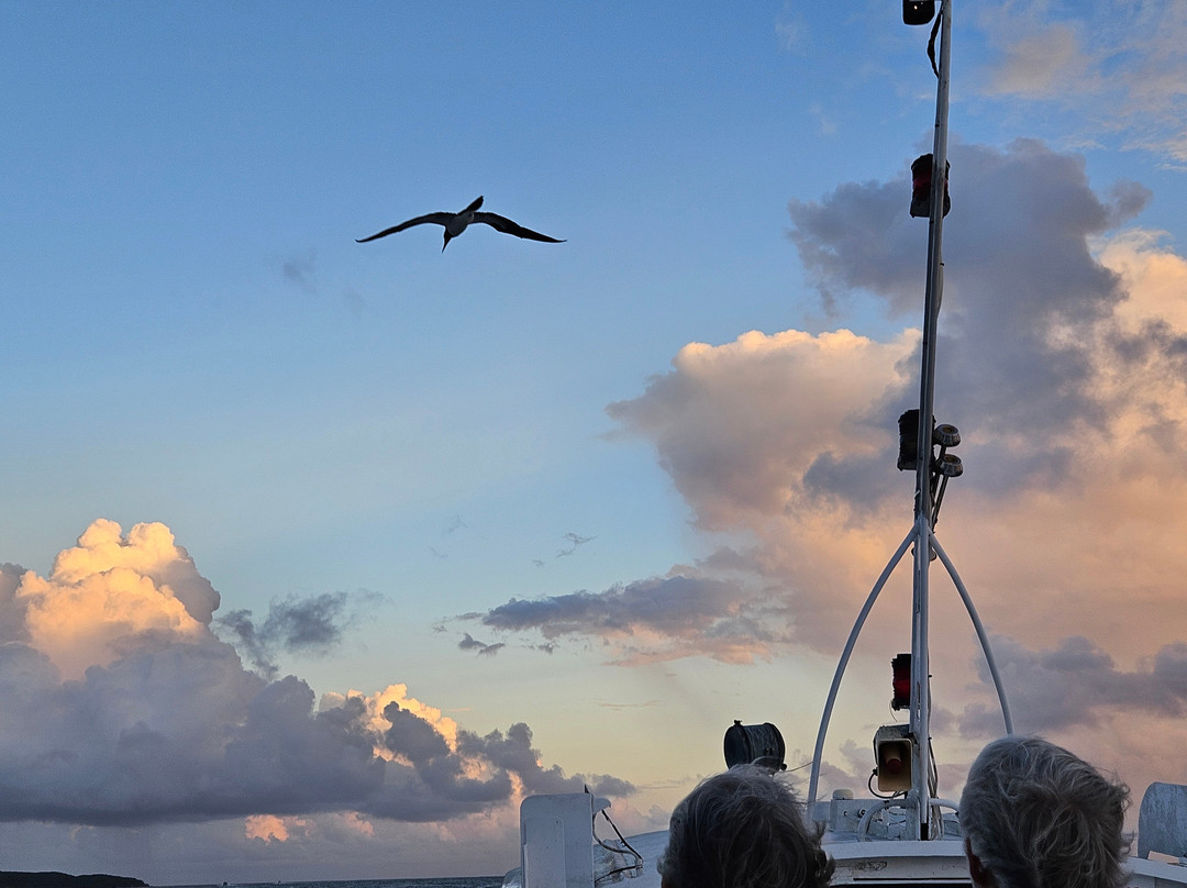 Inter Island Boat Service-克鲁兹湾必去景点