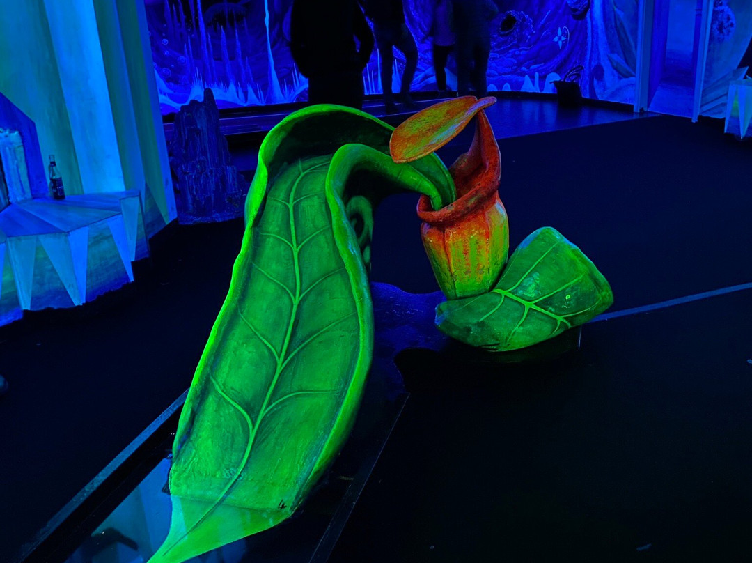 Schwarzlichtfabrik 3D Minigolf-纽伦堡必去景点