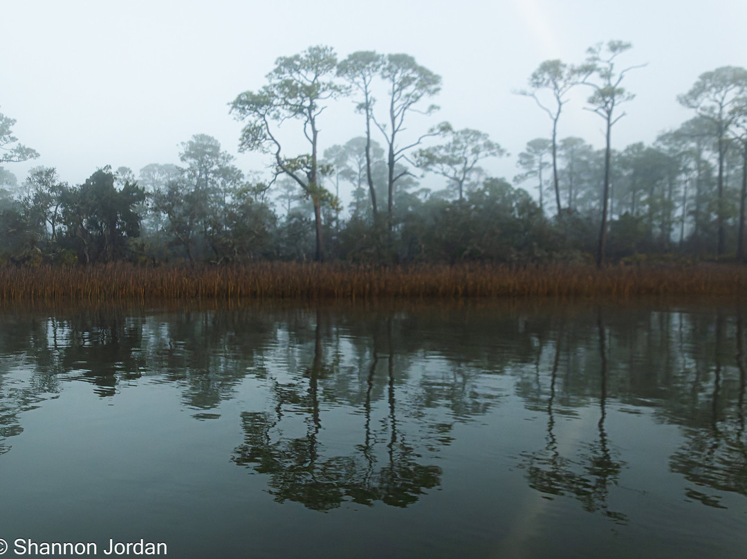 Lowcountry Photo Safaris景点图片