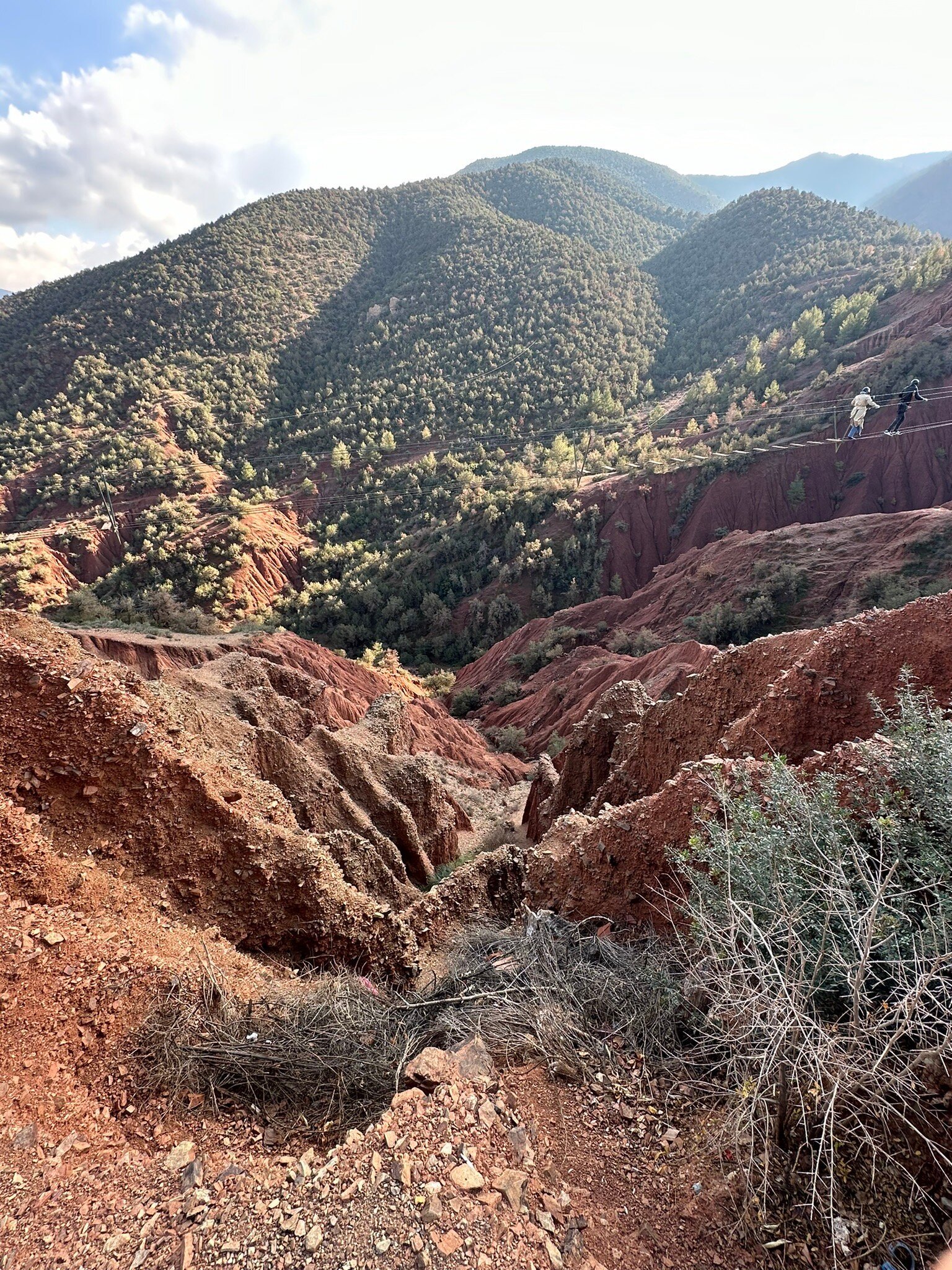 Terres d'Amanar-官方