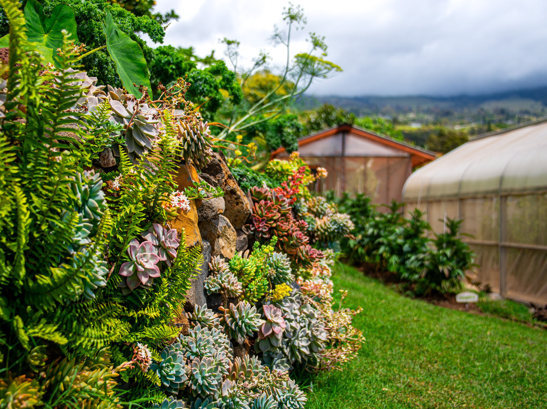 Kula Pueo Farm Tours-库拉必去景点