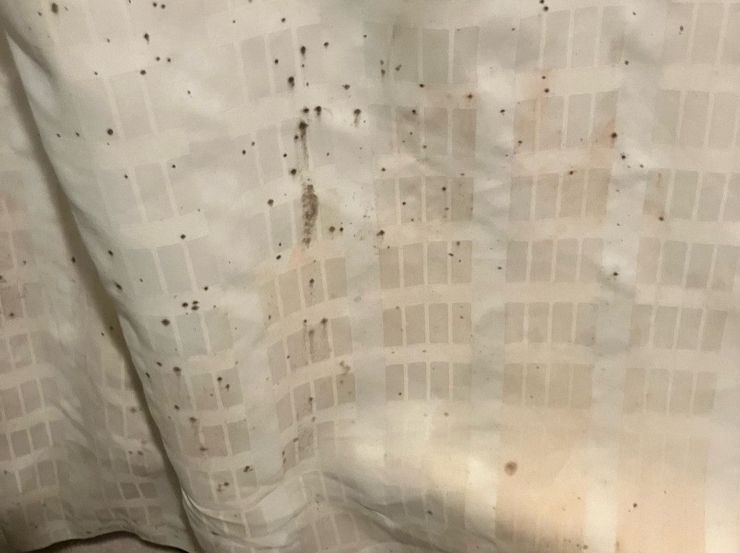 Days Inn by Wyndham Sulphur West主图