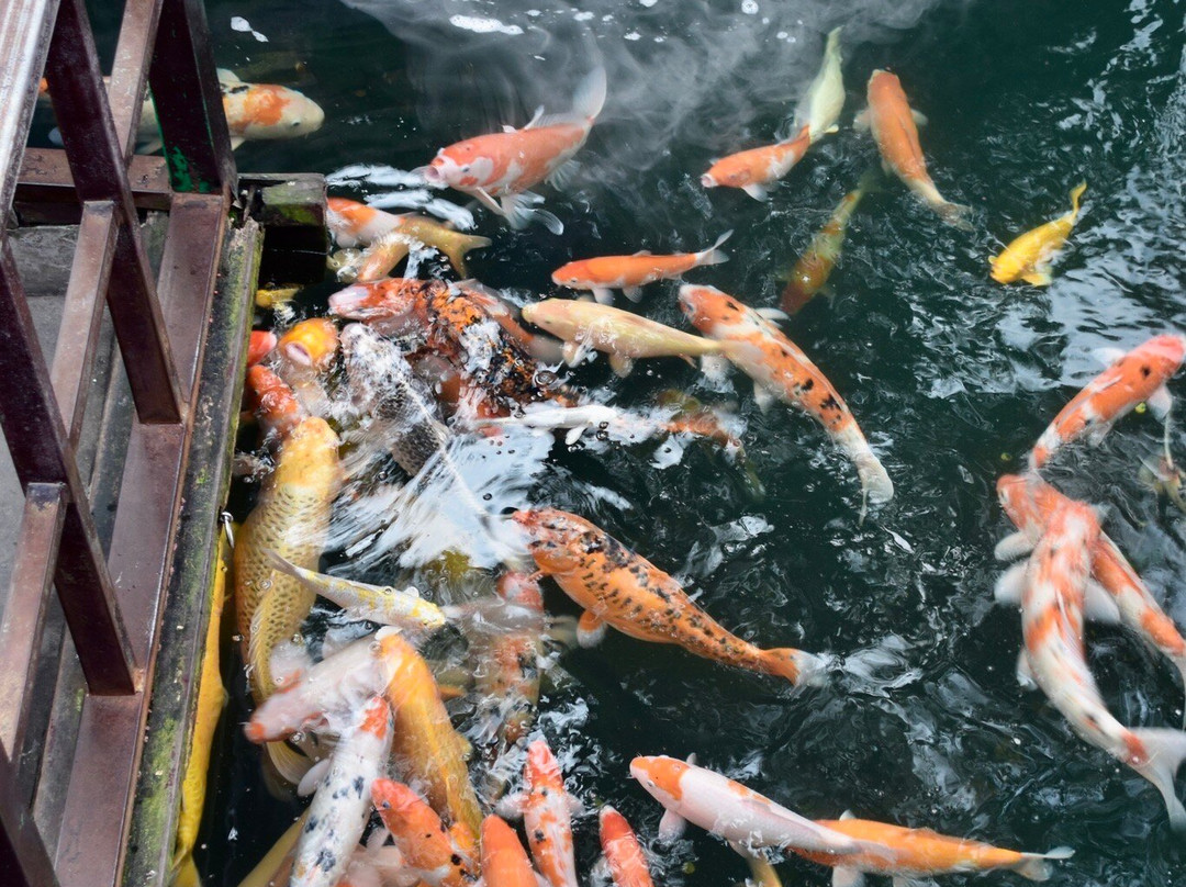 Your Way Holiday-杭州市必去景点