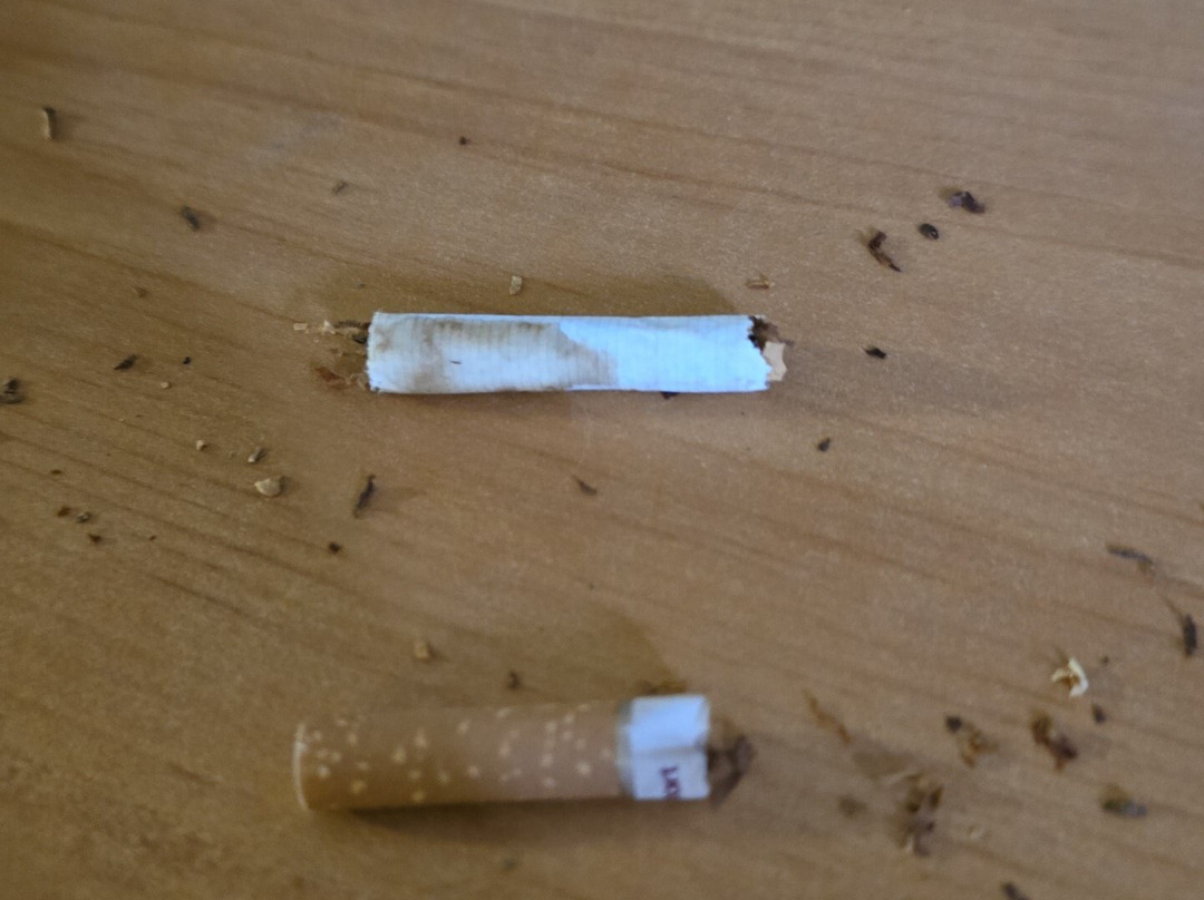 Super 8 by Wyndham Davenport主图