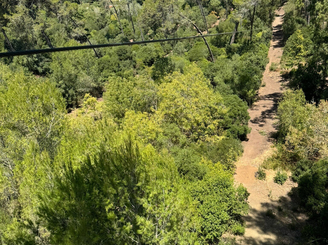 Adventure Park-里斯本必去景点