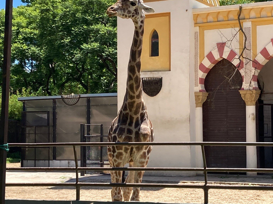 Eco Parque-布宜诺斯艾利斯必去景点