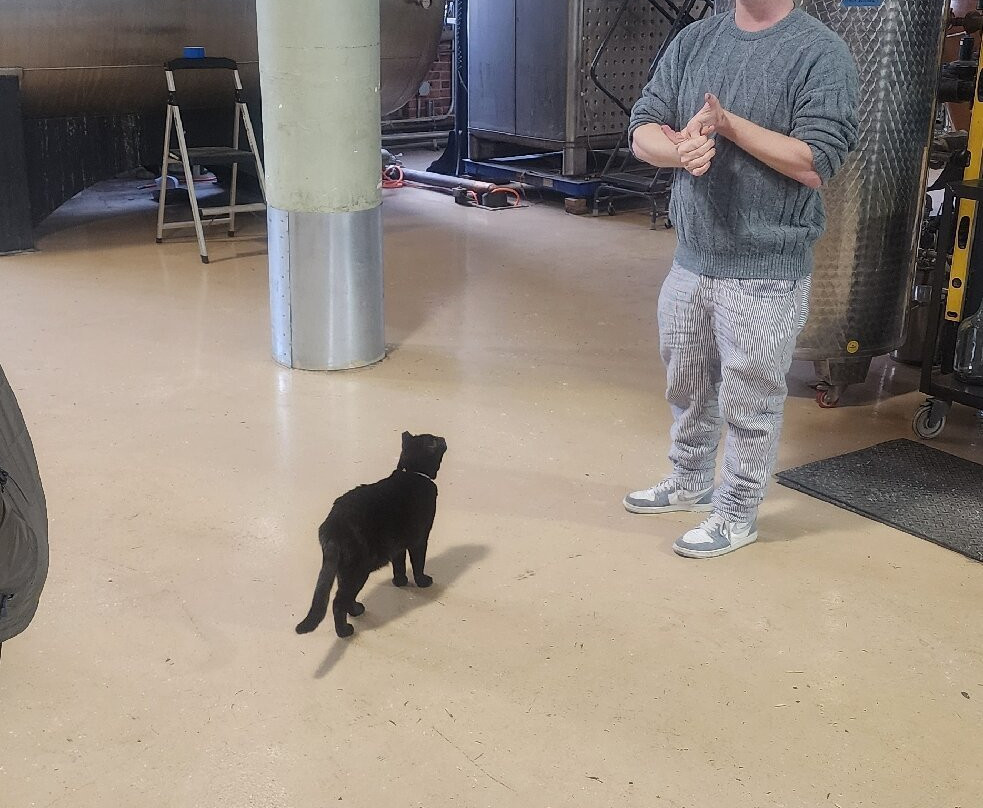 Kings County Distillery-布鲁克林必去景点