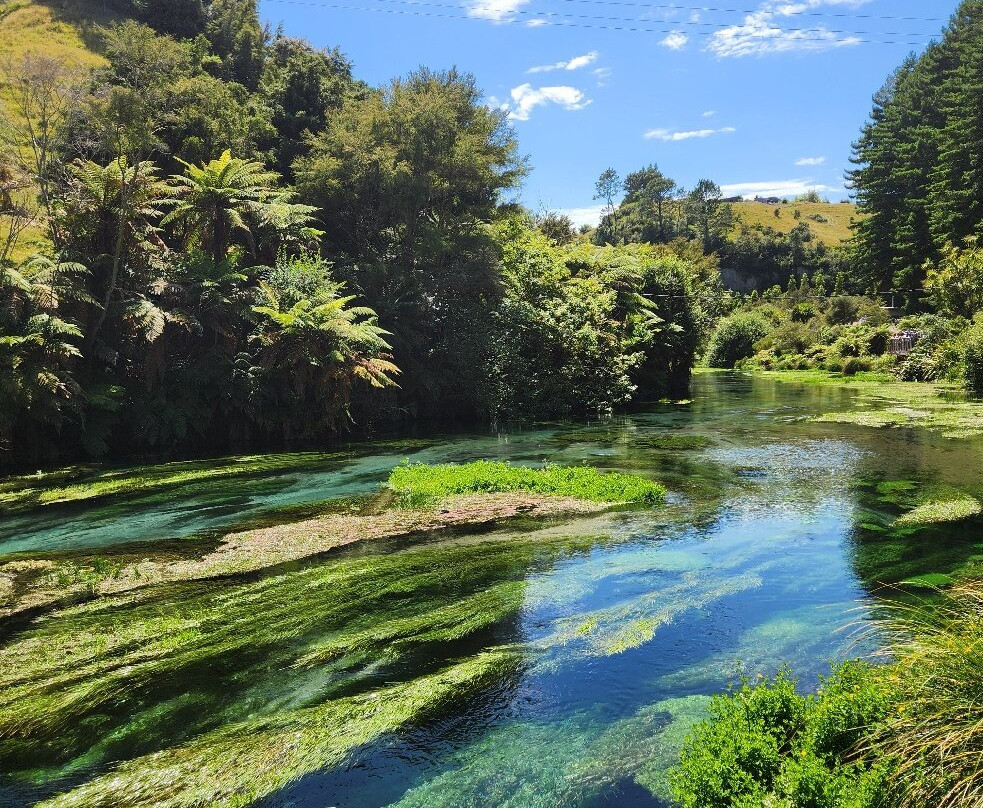 Blue Spring-普塔鲁鲁必去景点