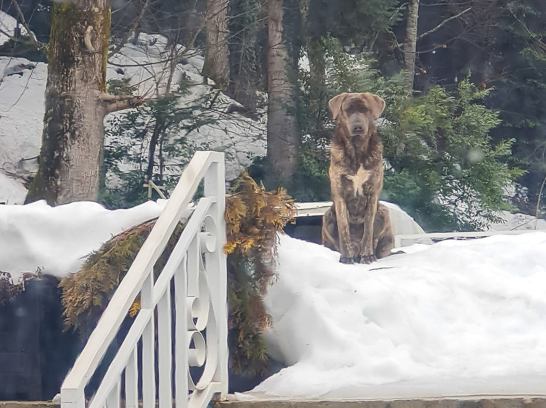 Tripsme-索契必去景点