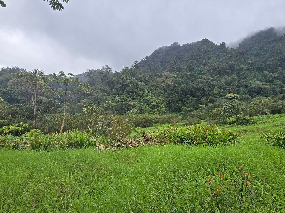 Finca Ecologica San Luis-蒙特沃德必去景点
