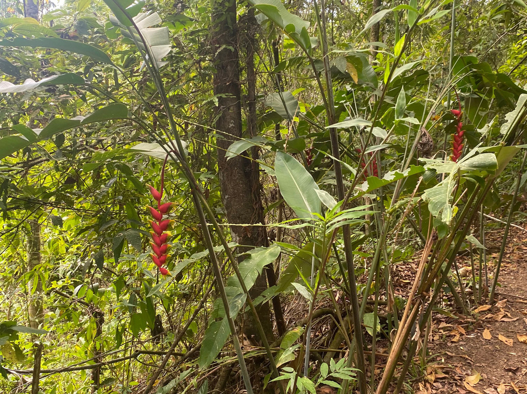 Fazenda Yrere-Ilheus必去景点