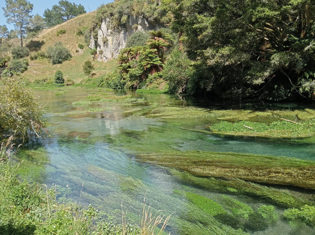 Blue Spring-普塔鲁鲁必去景点