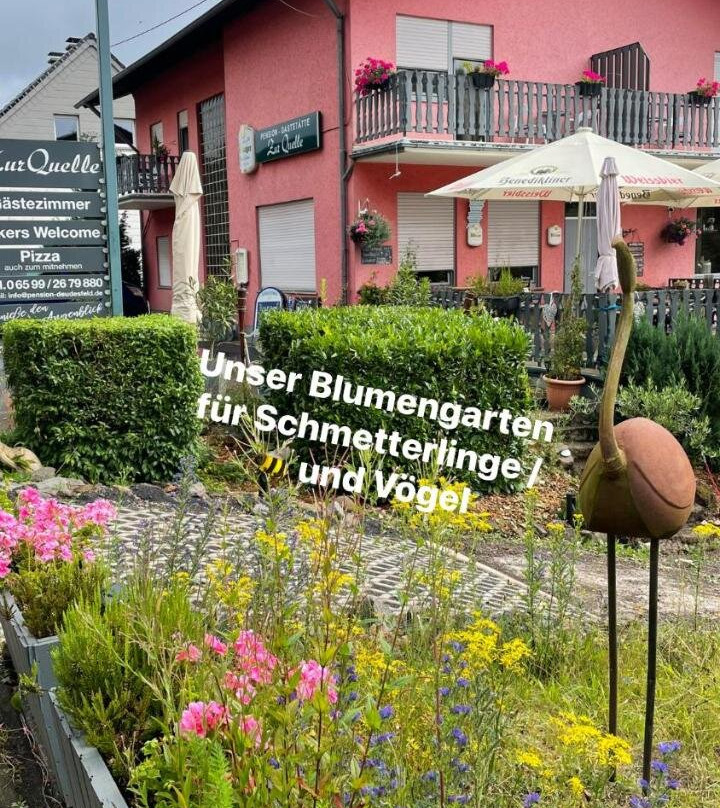 Wallenborn酒店住宿-Pension zur Quelle