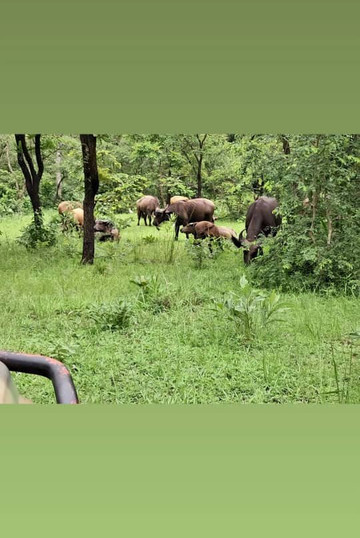 Benin Todji Tours-Akpro-Misserete必去景点