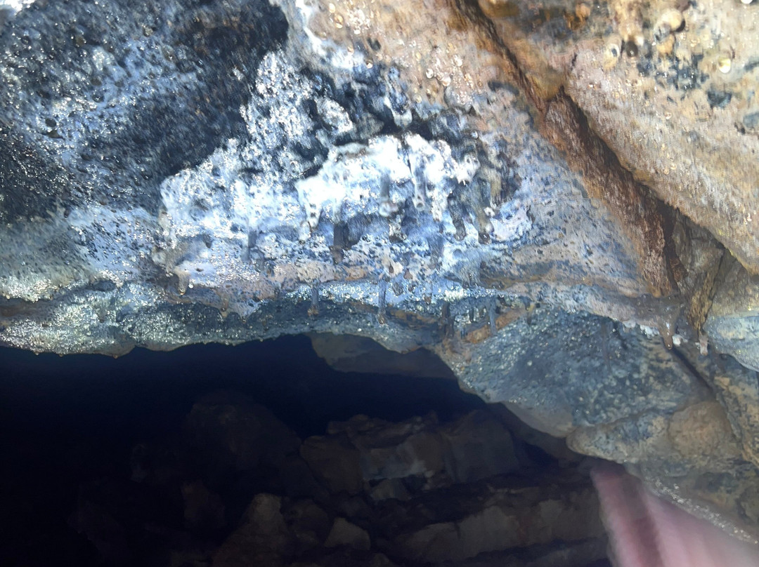 Reserva Galápagos Frontier-圣克鲁斯必去景点