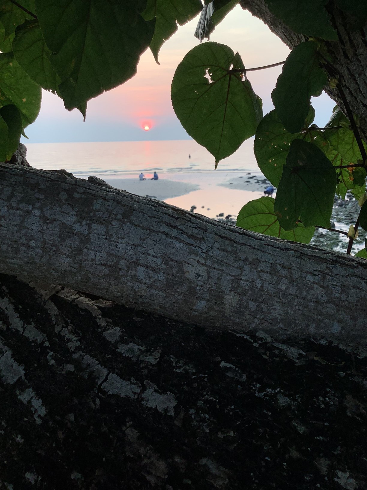 象岛卡查度假村-泳池