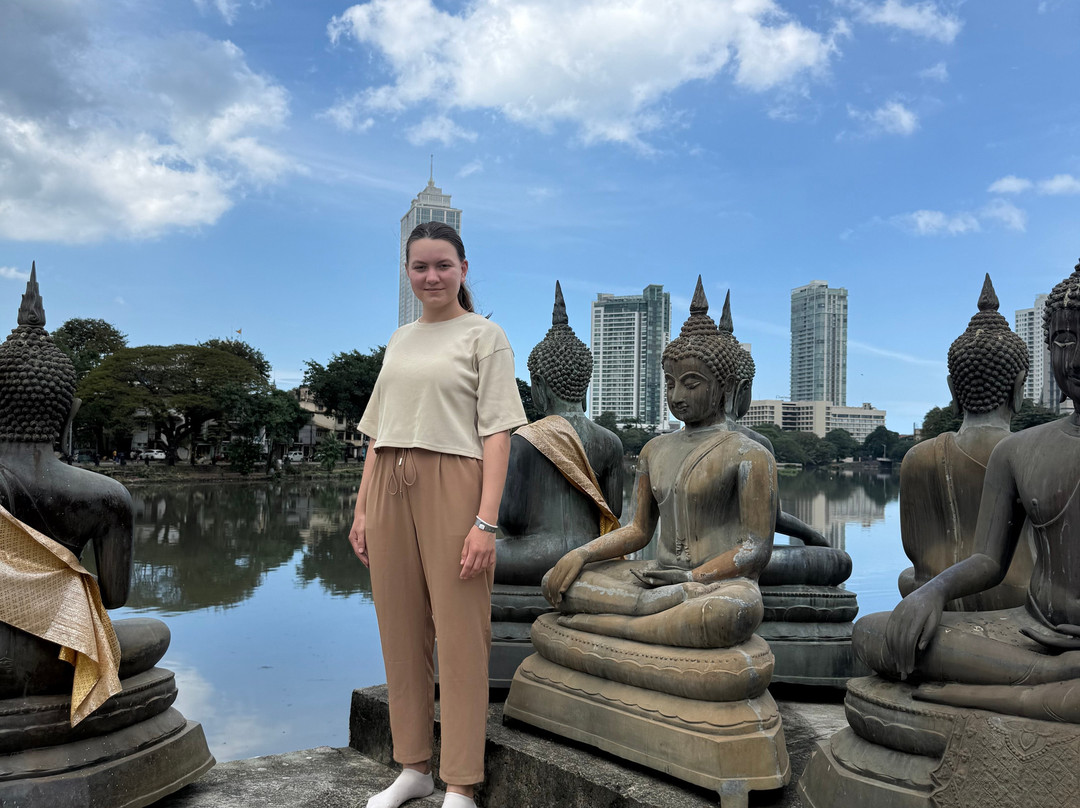 Rangi Tours-瓦都瓦必去景点