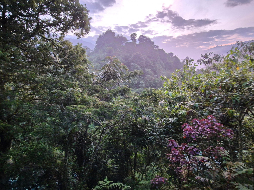 Frena Adventures-吉佳利必去景点