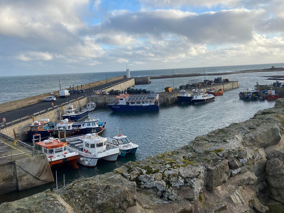 The Bamburgh Castle Inn - The Inn Collection Group主图