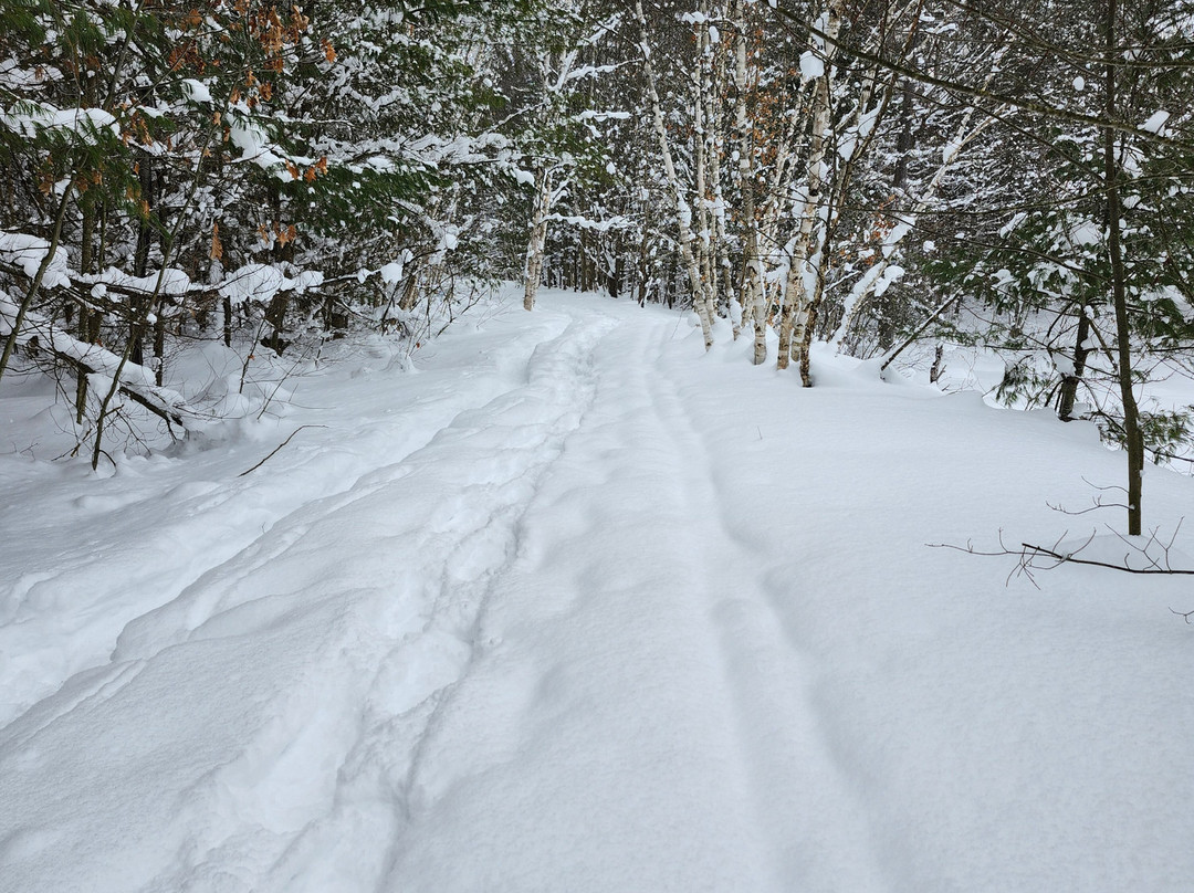Johnston's Cranberry Marsh & Muskoka Lakes Winery景点图片
