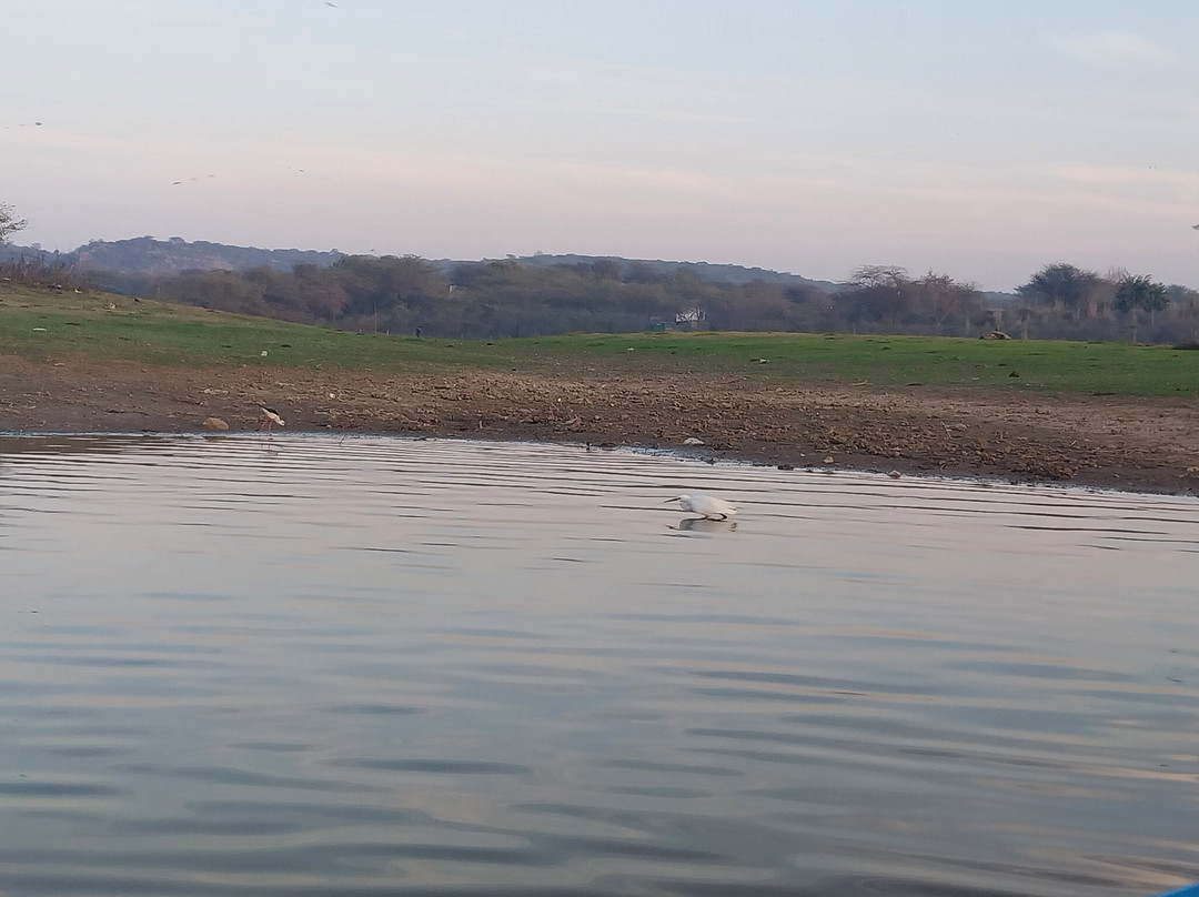 Damdama Lake-Sohna必去景点