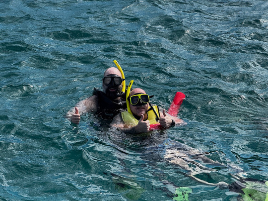 Castaway Cat-夏洛特阿马利亚必去景点